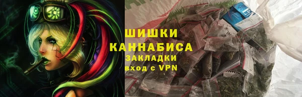 индика Вязники