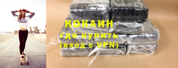 индика Вязники