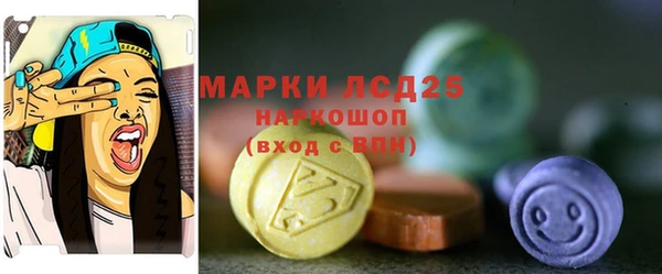 индика Вязники