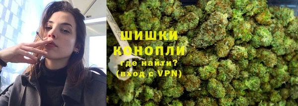индика Вязники
