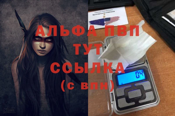 индика Вязники