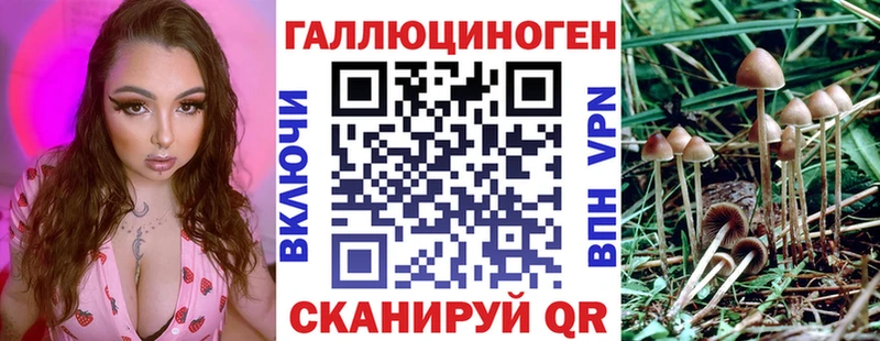 гидра ТОР  Старый Оскол  Псилоцибиновые грибы GOLDEN TEACHER  продажа наркотиков 