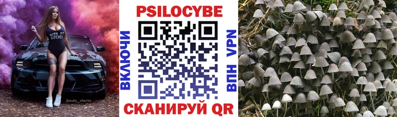Псилоцибиновые грибы MAGIC MUSHROOMS Старый Оскол